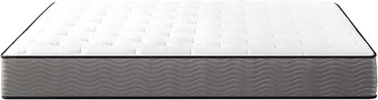 ZINUS 10 Inch Support Plus Pocket Spring Hybrid Mattress, Twin, Strong Coils for Durable Support, Pocket Innersprings for Motion Isolation, Mattress in A Box
