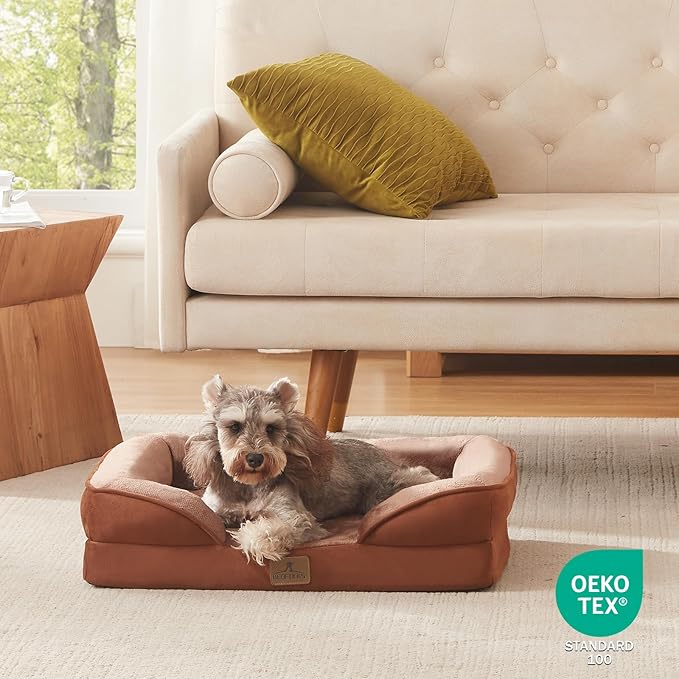 Bedfolks Orthopedic Dog Bed, Waterproof Dog Sofa Bed for Small Dogs & Cats, Egg Foam Pet Couch Bed with Removable Washable Cover and Nonslip Bottom, Brown-Mewly Pet
