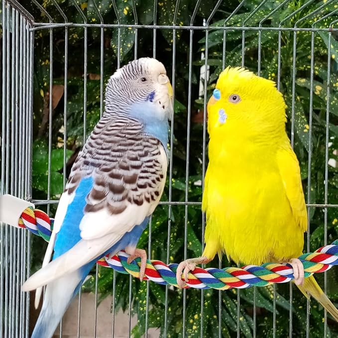 Colorful Bird Rope Perch Stand, Birdcage Swing Spiral Toys, Bird Climbing Standing Bungee Rope Perches Chew Toys Cage Accessories for Cockatiels Parrots Birds (40CM/15.7inch)-Mewly Pet