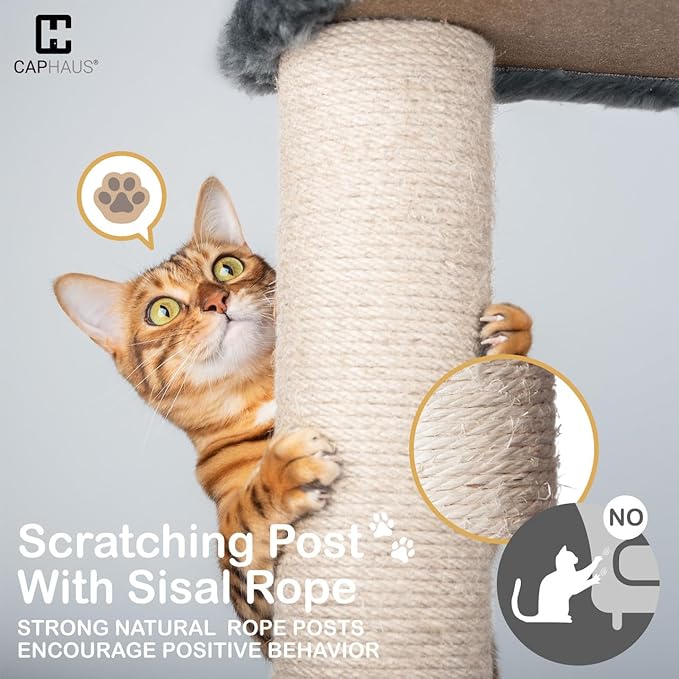 Extra Large 80-Inch Tall Cat Tree w/Widened Perch for Large Cats, Big Cat Tower Indoor, Modern Multi-Level Activity Tower with Scratching Posts, Condos, Baskets, Hammock, Scratching Ramps-Mewly Pet