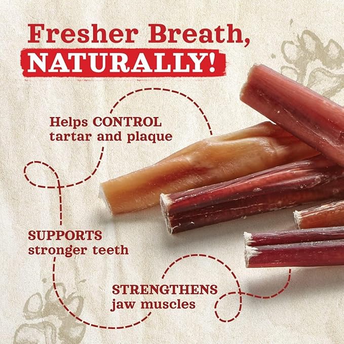 Natural Farm Odor-Free Thick Bully Sticks (12”, 10-Pack) All-Natural Long-Lasting Dog Chews, 100% Beef Pizzle, Grass-Fed, Grain-Free, Protein for Muscle Development & Energy, Perfect for Large Dogs-Mewly Pet