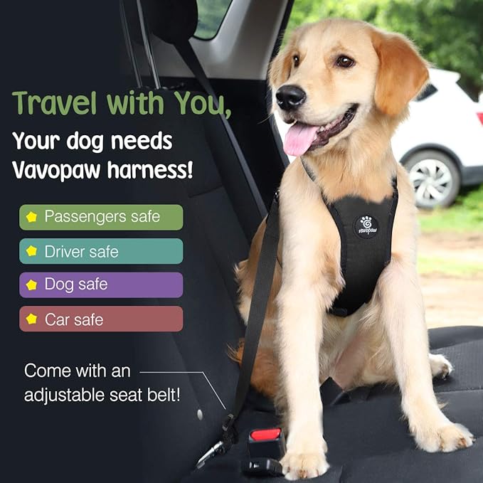 Dog Seat Belt, Safety Vest Dog Car Harness with Adjustable Buckle Dog Seat Belt for Vehicle Nylon Pet Safety Seat Belts Heavy Duty(M, Black)-Mewly Pet