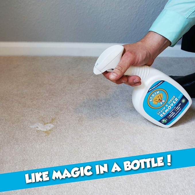 Pet Stain Odor Remover Professional Strength Powerful Eliminator for Tough Dog Cat Pet Urine Pee Poop Feces Vomit Slobber Drool Blood Wine Coffee Home Kennel Car RV Office (1 Gallon)-Mewly Pet