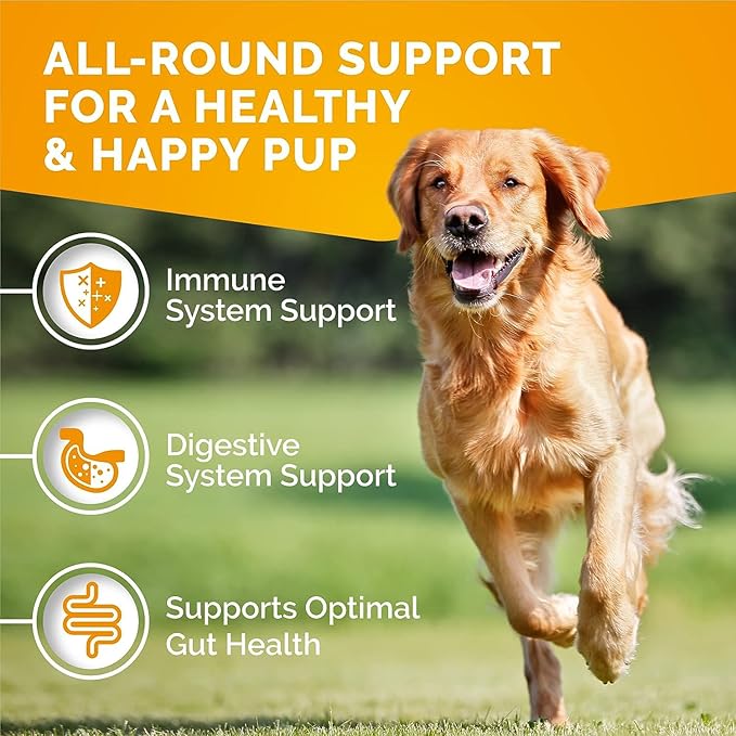 PREMIUM CARE Itch Relief for Dogs - 120 Allergy Chews for Dogs - Anti Itch Seasonal Support for Pets Itchy Skin Relief Skin Health Support with Colostrum, Vitamin C, Omega and Bee Pollen-Mewly Pet