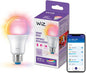 WiZ LED Smart Light Bulbs, Sunset to Sunrise Automation + Motion Detection + Control with Voice or App, Full Color A19 60W 800LM E26 Indoor, Matter Compatible - 1 Pack