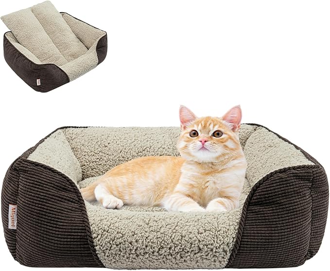 Miguel Washable Cat Bed for Indoor Cats With Removable Cushion, Easy to Wash Small Pet Sofa With Side, Rectangle Bolster Kitten Calming Cuddle Puppy Bed, Anti-Slip Bottom, Brown 20 Inch-Mewly Pet