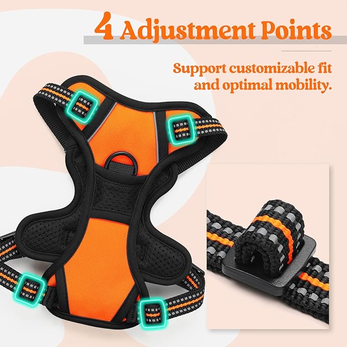rabbitgoo Dog Harness No Pull with 2 Leash Clips, Adjustable Soft Padded, Reflective Oxford No Choke Pet Vest with Easy Control Handle for Puppy, Orange,XS-Mewly Pet
