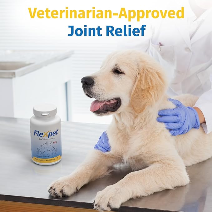 Hip & Joint Supplement for Dogs & Cats with Cetyl Myristoleate, Glucosamine, Collagen, MSM - Advanced Joint Support for Mobility, Senior Pets, Small & Large Breeds - 60 Chews (Pork Liver)-Mewly Pet