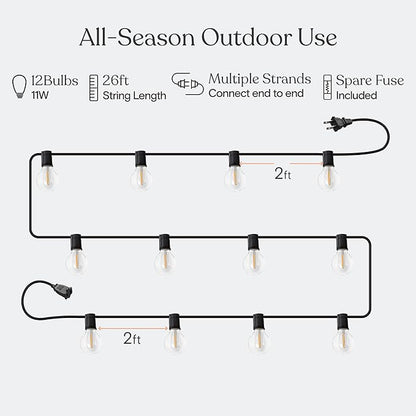 Brightech Ambience Pro LED String Lights - 26 Ft Patio Lights Outdoor Waterproof - Globe Porch String Lights for Outside, Christmas, Backyard - 12 Bulbs, 1W Vintage Edison, Warm White Black