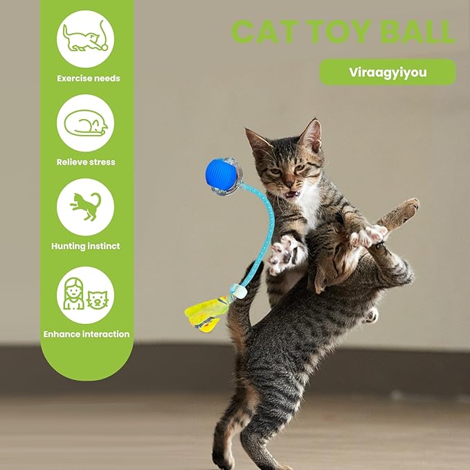 Cat Toy, Interactive Cat Toy, Cat Toys for Indoor Cats with 2 Tails, 3 Modes Rechargeable Cat Enrichment Toys for Small/Medium/Large Cats to Keep Them Busy-Mewly Pet