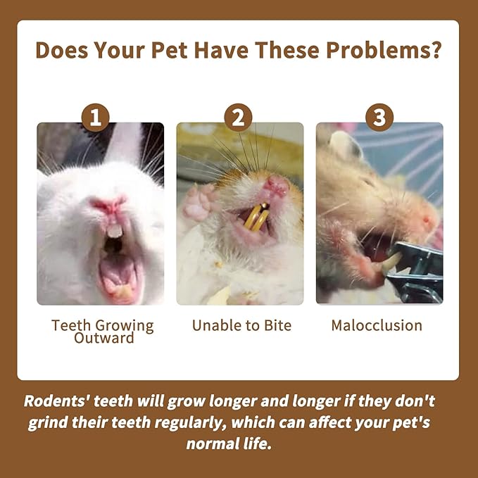 Fhiny 12 PCS Rabbit Chew Sticks, Natural Papaya Wood Seagrass Guinea Pig Chew Toys for Teeth Small Animal Molar Sticks Snacks for Bunny Guinea Pig Chinchilla Ferret Hamster Gerbil Dental Care-Mewly Pet