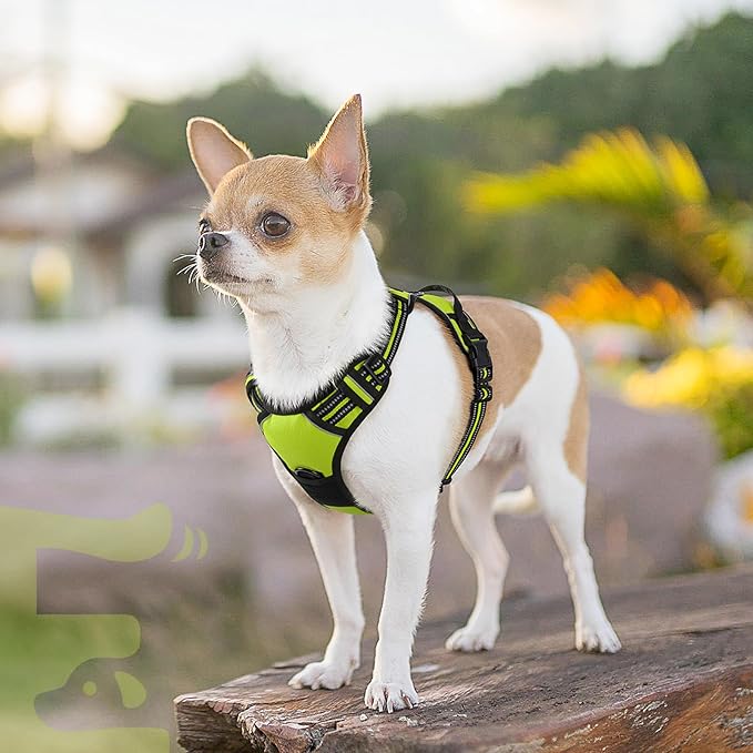 Eagloo Small Dog Harness No Pull, Service Vest with Reflective Strips and Control Handle, Adjustable and Comfortable for Walking, No Choke Pet Harness with 2 Metal Rings, Green, XS-Mewly Pet
