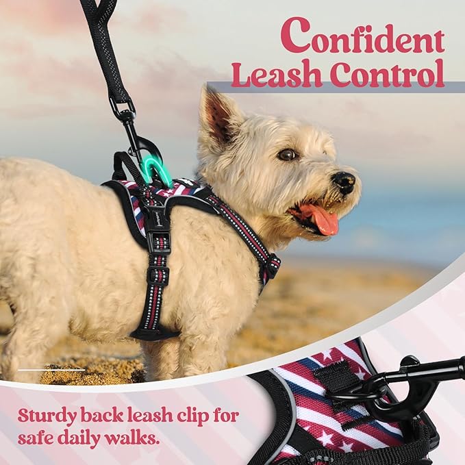 rabbitgoo Dog Harness No Pull with 2 Leash Clips, Adjustable Soft Padded, Reflective Oxford No Choke Pet Vest with Easy Control Handle for Large Dogs, Red Stripe, XS-Mewly Pet