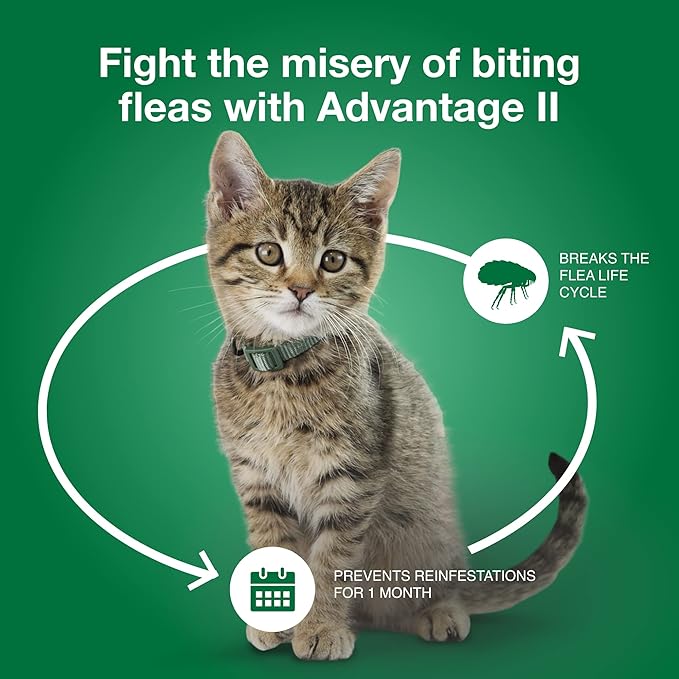 Advantage II Small Cat Vet-Recommended Flea Treatment & Prevention | Cats 5-9 lbs. | 12-Month Supply-Mewly Pet