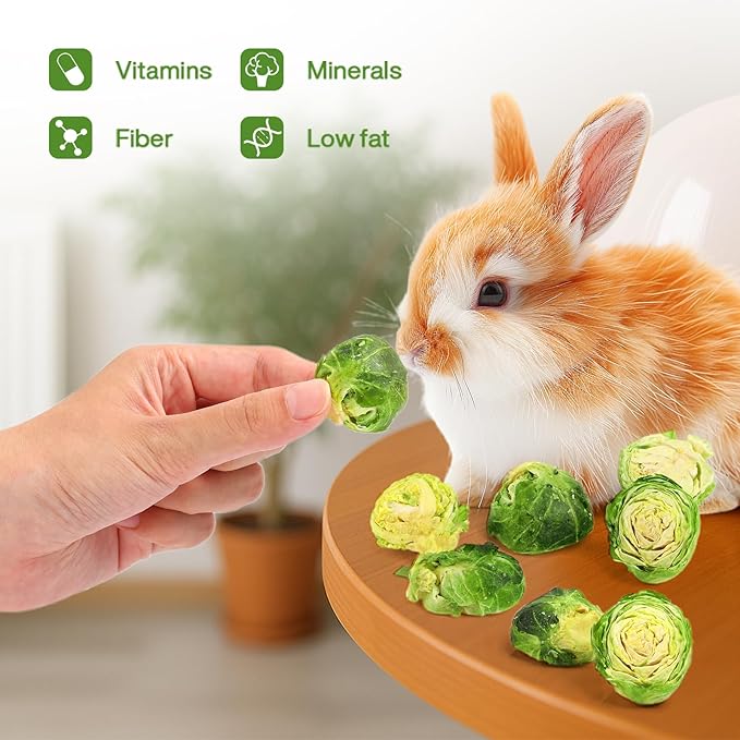 Abizoo Freeze Dried Brussels Sprouts Rabbit and Hamster Chew Treats Resealable Jar for Hamsters Bunny Guinea Pigs Groundhogs Natural Fiber Vitamin Snacks-Mewly Pet