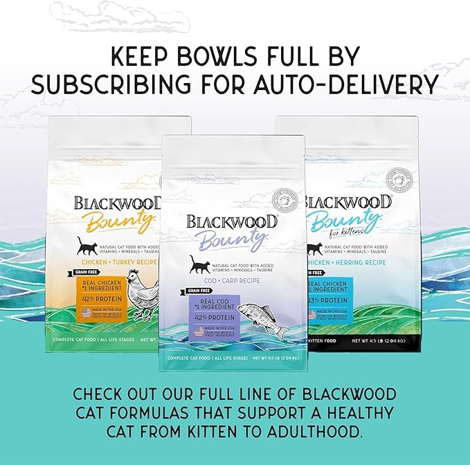 Blackwood Bounty Dry Cat Food, Cod & Carp Recipe for All Life Stages, 10 Pound Bag, High Protein, Grain Free-Mewly Pet