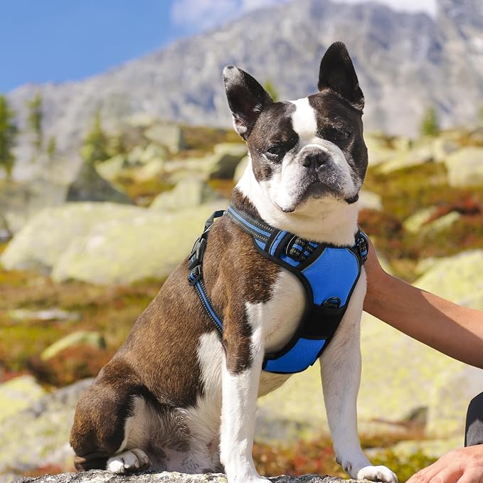 Eagloo Dog Harness Medium Sized Dog, No Pull Service Vest with Reflective Strips and Control Handle, Adjustable and Comfortable for Easy Walking, No Choke Pet Harness with 2 Metal Rings, Blue, M-Mewly Pet