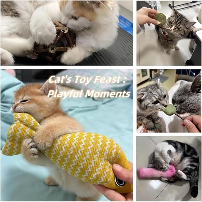 Natural Cat Toys Set with Catnip Fish & Bone,Catnip Plush Toy & Natural Silvervine Stick Cage Balls & cat nip for Cats Lolipop, 8-Piece cat Toys for Indoor Cats Interactive Pet Toys-Mewly Pet