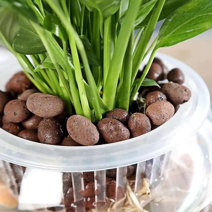 Halatool 2 LB Natural Expanded Clay Pebbles for Plants 4mm-16mm Clay Balls 100% Organic Hydroton Leca Balls for Indoor Plants Hydroponic Growing Gardening Orchids Drainage Decoration Aquaponics-Mewly Pet