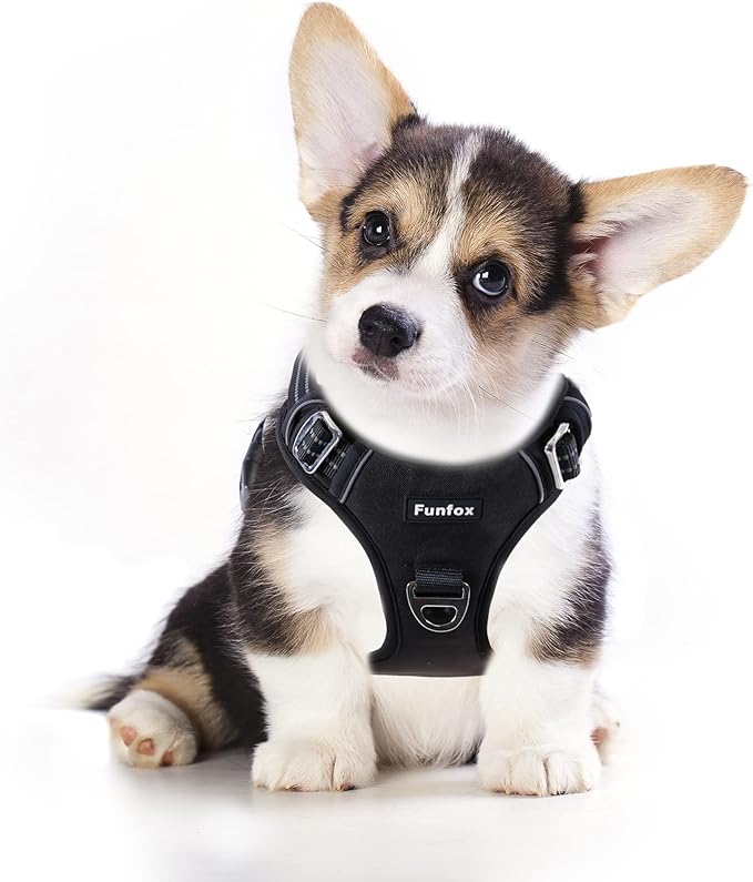 Funfox Dog Harness No Pull, Adjustable Dog Vest Harness, Super Soft Material with Vertical Handle Easy Control, Reflective Night Walking, 2 Leash Clips for Small Medium Large Size, Black, S-Mewly Pet