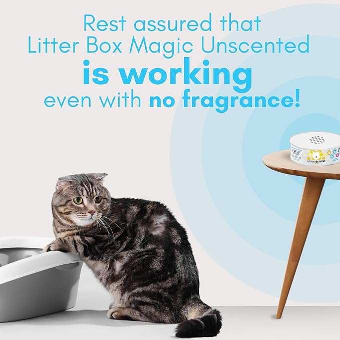 Cat Litter Deodorizer Jar (1 Fresh Scent and 1 Fragrance Free, 16 Oz, Pack of 2) - Cat Litter Odor Absorber Gel - Litter Box Pet Air Freshener - Litter Odor Eliminator to Freshen Air-Mewly Pet