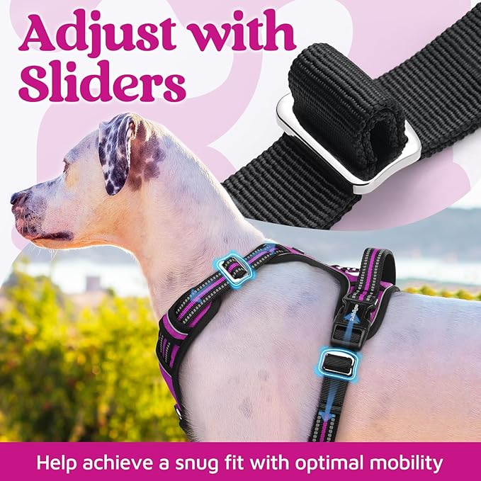 rabbitgoo Dog Harness for Large Dogs, No Pull Pet Vest with 3 Buckles, Adjustable Soft Padded Pet Harness with Easy Control Handle and Reflective Strips, Purple, XL-Mewly Pet