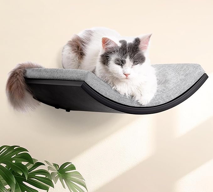 Curved Cat Wall Hammock Bed with Grey Foam Cushion – Floating Cat Wall Shelf Nest for Climbing, Sleeping & Lounging-Mewly Pet