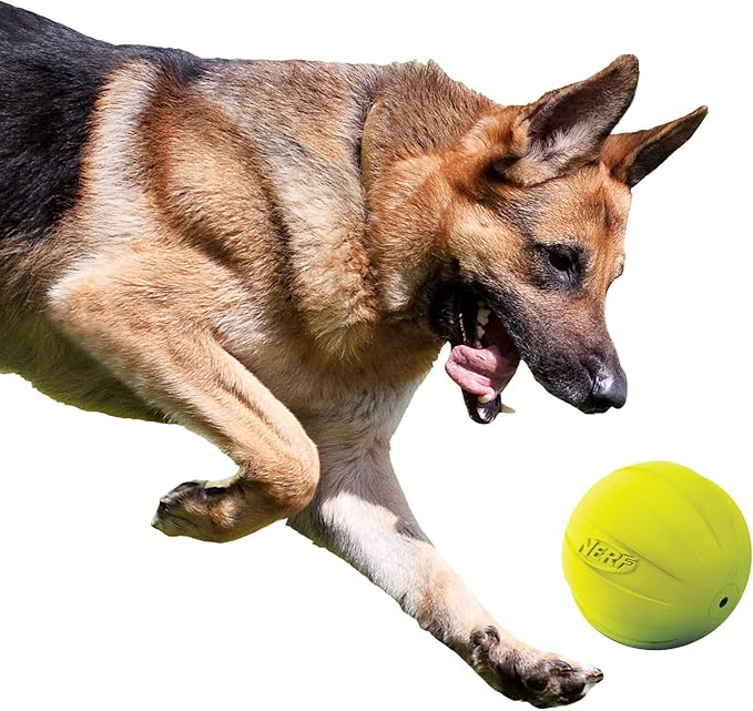 Nerf Dog Rubber Ball Dog Toy with Squeaker, Lightweight, Durable and Water Resistant, 4 Inch Diameter for Medium/Large Breeds, Single Unit, Green-Mewly Pet