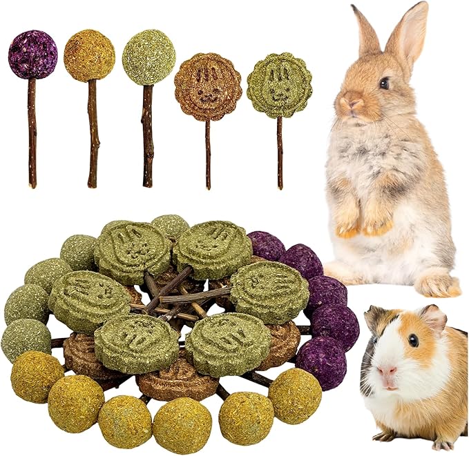 Fhiny Rabbit Chew Toys, 30 PCS Natural Bunny Lollipop Chew Sticks Handmade Guinea Pig Molar Treats for Teeth Small Animals Snacks for Guinea Pig Bunny Chinchilla Hamster Gerbil Teeth Care-Mewly Pet