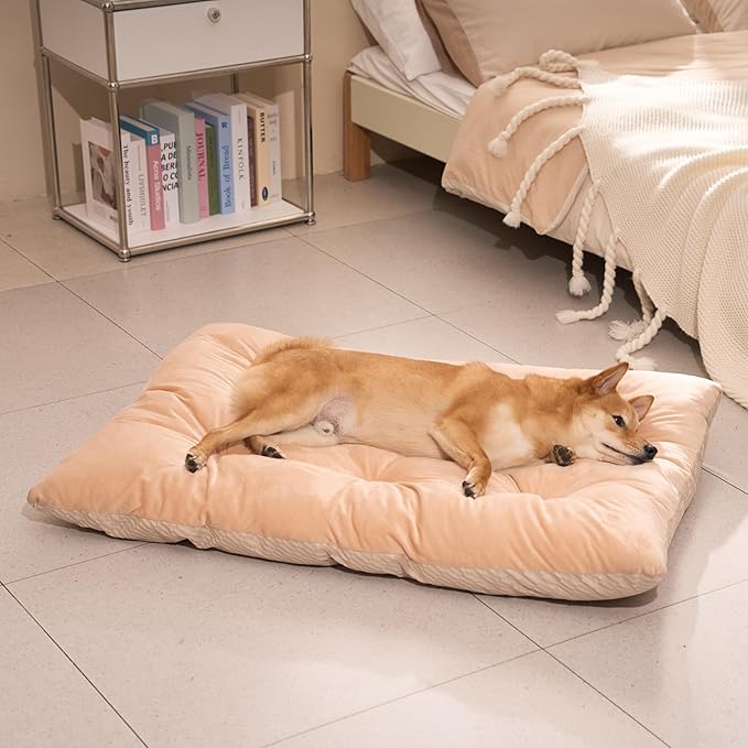 FUNNY FUZZY 2 in 1 Dog Bed Crate Pad Mat, Washable Reversible Pet Floor Mats,Fluffy Kennel Pad for Small Large Sized Dog,Indoor Cats,Sleeping Mattress, 41.7" × 28.3", Beige-Mewly Pet