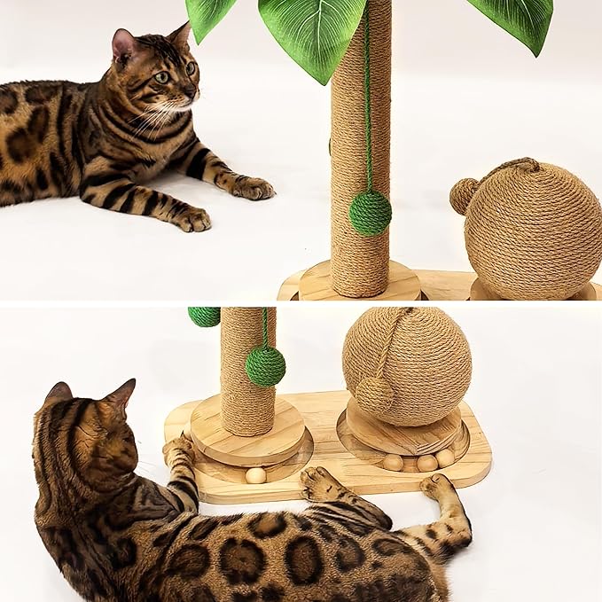 Cat Scratching Post, Wooden Cat Scratcher Toy for Indoor Cats, Sisal Ball Toy with Hanging and Track Balls, 17.7" Tall Banana Tree Cat Tower for Kittens-Mewly Pet