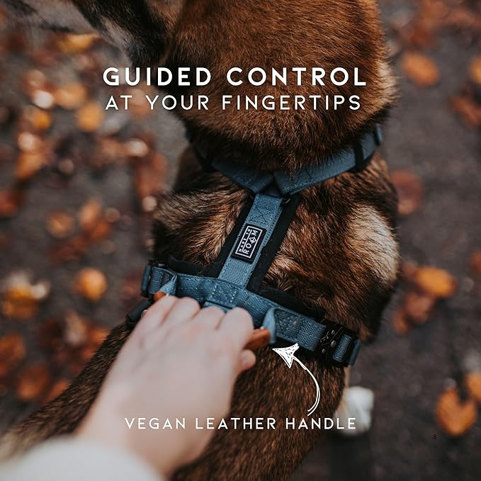 MADE TO ROAM Premium Explorer Harness - Y-Shaped Dog Harness with Adjustable Durable Nylon, Soft Padding, Metal Buckles and Leather Handle for Small, Medium, Large Dogs (Nevada Evening, Size 5)-Mewly Pet