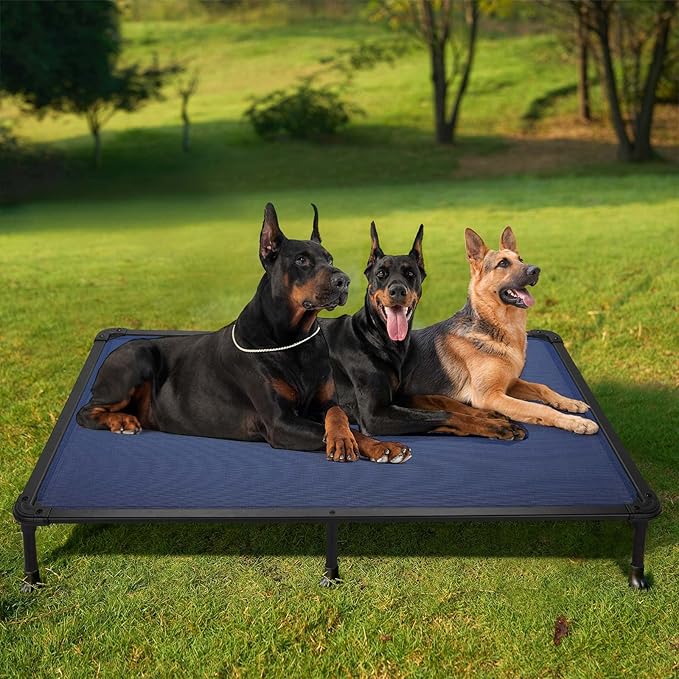 Veehoo Chew Proof Elevated Dog Bed - Cooling Raised Pet Cot - Rustless Aluminum Frame and Durable Textilene Mesh, Unique Designed No-Slip Feet for Indoor or Outdoor Use, Blue, XX-Large, CWC2002-Mewly Pet