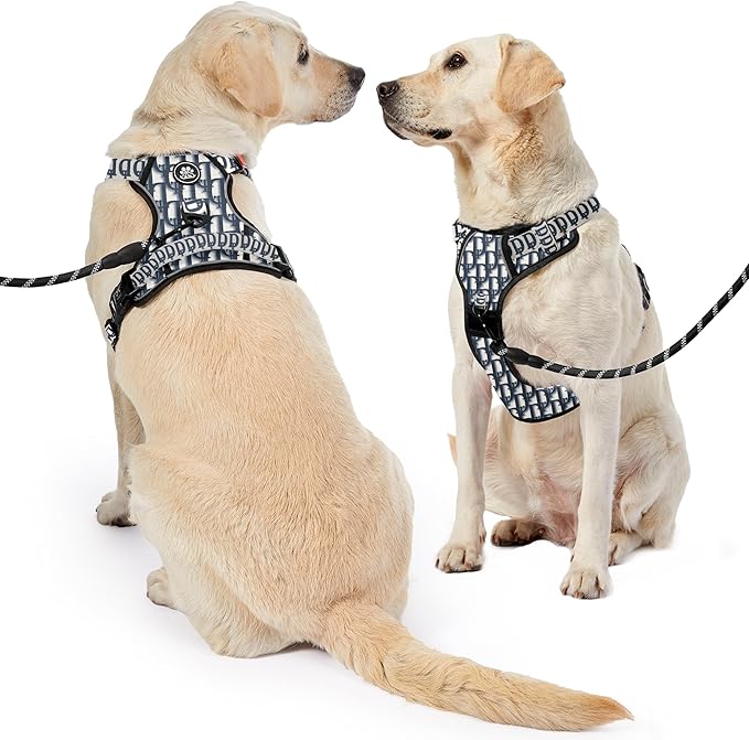 NESTROAD No Pull Dog Harness,Adjustable Oxford Dog Vest Harness with Leash,Reflective No-Choke Pet Harness with Easy Control Soft Handle for Medium Dogs(Medium,Vintage Blue)-Mewly Pet