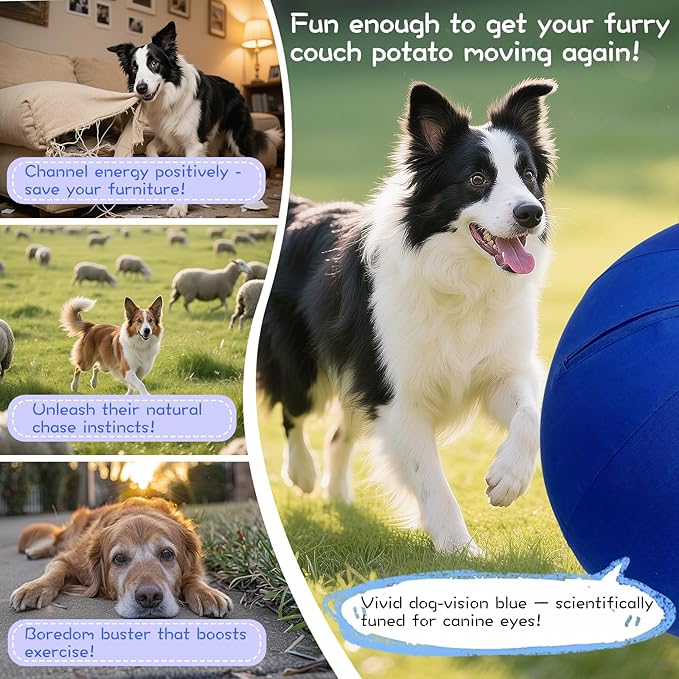 25" Herding Ball for Dogs – Durable Horse Ball Style Dog Toy with Cover – Dog Herding Toy for Outdoor Play, Training & Exercise – Great for Australian Shepherds & Large Breeds-Mewly Pet