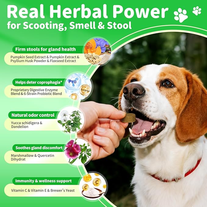 Premium Dog Digestive Enzymes and Probiotics with Pumpkin for Gut Health Support - Daily Chews for Digestion & Gas Relief - Chicken Flavor-90 Count-Mewly Pet