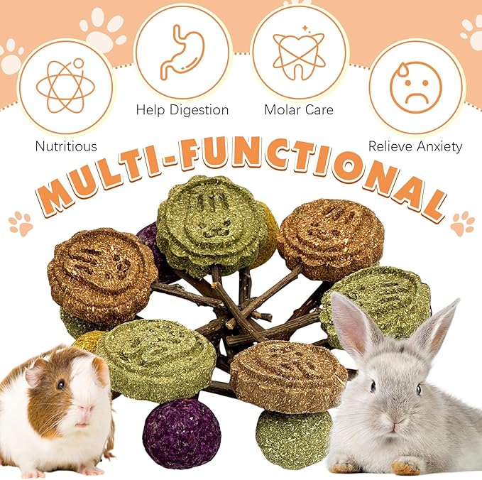 Fhiny Rabbit Chew Toys, 15 PCS Natural Bunny Lollipop Chew Sticks Handmade Guinea Pig Molar Treats for Teeth Small Animals Snacks for Guinea Pig Bunny Chinchilla Hamster Gerbil Teeth Care-Mewly Pet