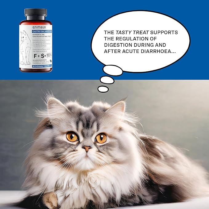 animaux - Gastro Balance for Cats, Supports Gastro-intestinal Tract, Prevents Diarrhoea, Constipation, Hairballs & Flatulence, supplementary probiotics, 90 chewable Tablets, 90 Days Supply-Mewly Pet