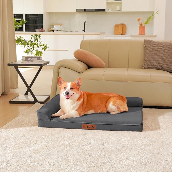Chew Proof Dog Bed, 3" Memory Foam Dog Bed for Medium and Large Dogs, Removable and Washable Microsuede Cover, Waterproof Liner, Nonskid Bottom, 36x27 Inches L Dark Grey-Mewly Pet