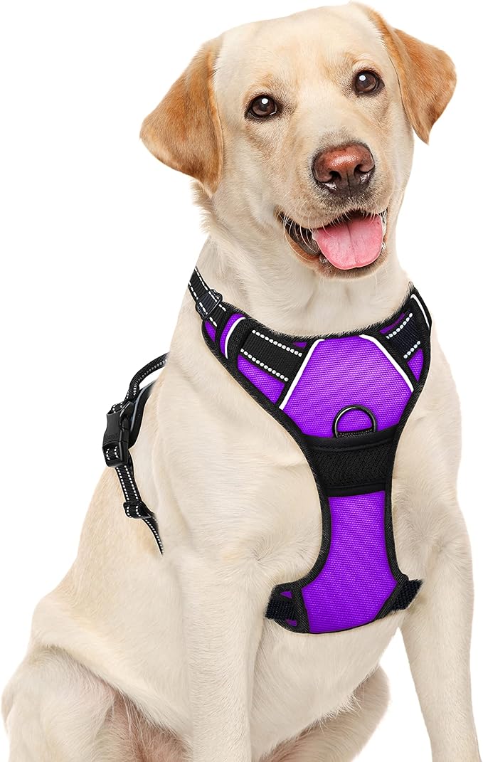 BARKBAY No Pull Dog Harness Large Step in Reflective Dog Harness with Front Clip and Easy Control Handle for Walking Training Running(Purple,L)-Mewly Pet