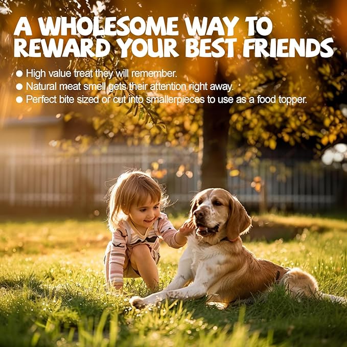 ASMPET Dog Treats Chews, Multi-Flavor Dog Kabob Snacks, Made with Chicken, Duck, Salmon, Rabbit and Beef, Rawhide Sticks for Dogs-Mewly Pet