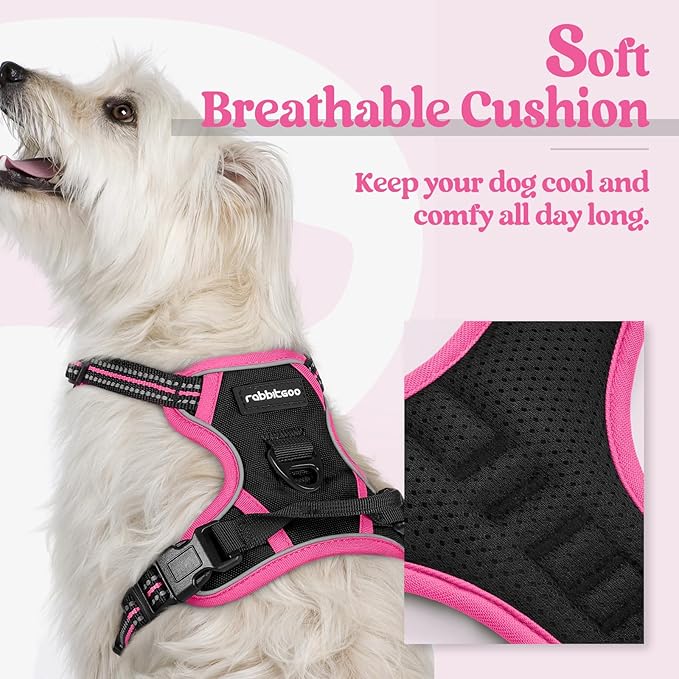 rabbitgoo Dog Harness No Pull with 2 Leash Clips, Adjustable Soft Padded, Reflective Oxford No Choke Pet Vest with Easy Control Handle for Large Dogs, Black & Hot Pink, XS-Mewly Pet