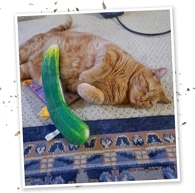 Meowijuana Pickle Bundle | Get Kickin' Refillable Spicy Pickle Toy and Meowi-Waui Catnip | Promotes Play and Cat Health | Includes North American Organic Catnip-Mewly Pet