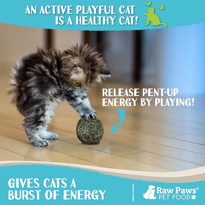 Raw Paws Catnip Balls for Cats, (6-Count) - Interactive Cat Toy for Indoor Cats - Cat Nip Licking Balls-Mewly Pet