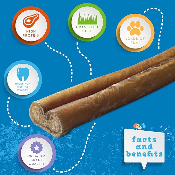Jack&Pup 6-inch Pizzle Sticks for Dogs (3 Pack) All Natural Jumbo Bully Sticks | Single Ingredient, Long Lasting Bully Sticks for Medium Dogs-Mewly Pet