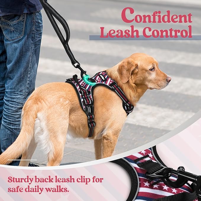 rabbitgoo Dog Harness No Pull with 2 Leash Clips, Adjustable Soft Padded, Reflective Oxford No Choke Pet Vest with Easy Control Handle for Large Dogs, Red Stripe, L-Mewly Pet