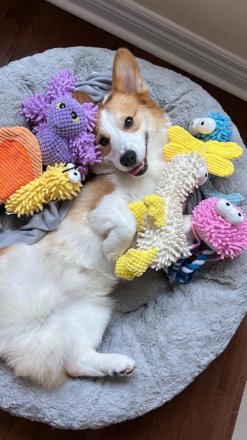 Nocciola Small Medium Large Dog Toys, Cute Soft Squeaky Crinkle Plush Stuffed Durable Pet Teething Animal Chew Toys for Small to Large Breed, Cognitive Stimuting Boredom Puppy Busy Birthdays Gifts-Mewly Pet