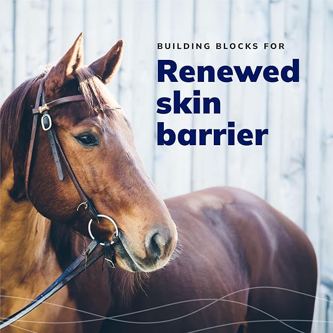 CeraSoothe CHX+KET Antiseptic Shampoo for Dogs, Cats, and Horses - 16oz-Mewly Pet