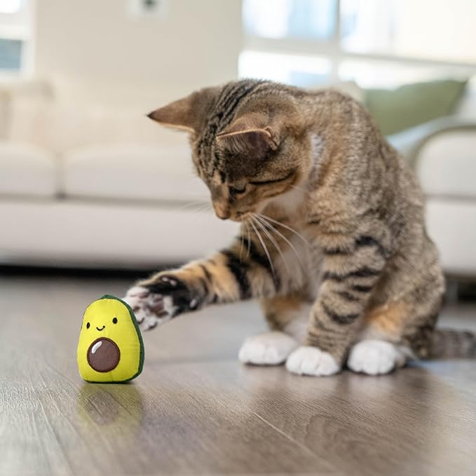 Catstages Lil' Avocato Cat Toy, Interactive Plush Avocado with Catnip, Kicker & Chew Toy for Indoor Cats, Encourages Active Play, Mental Stimulation, Dental Health, and Solo Fun, Green-Mewly Pet