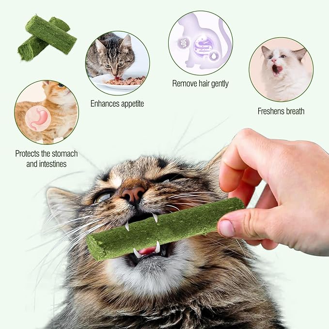 225g Cat Grass Teething Stick, Delicious Cat Treat Snack Edible Cat Chew Toy for Teeth Cleaning and Hairball Removal in Cats-Mewly Pet